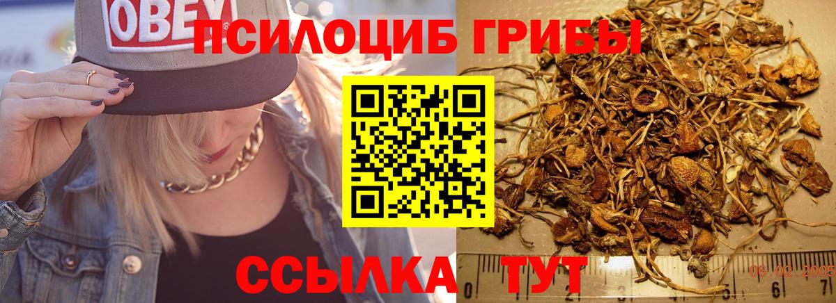 Галлюциногенные грибы ЛСД Барабинск